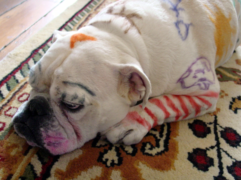 Illustration for article titled Animal Pictures to Make You Smile on a Difficult Monday